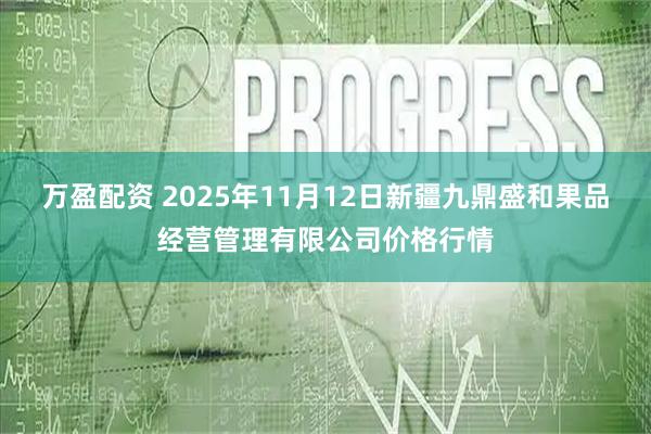 万盈配资 2025年11月12日新疆九鼎盛和果品经营管理有限公司价格行情
