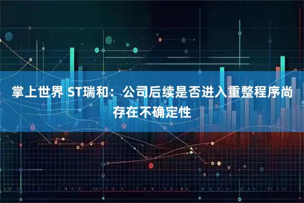 掌上世界 ST瑞和:公司后续是否进入重整程序尚存在不确定性