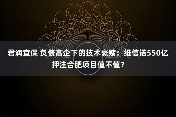 君润宜保 负债高企下的技术豪赌:维信诺550亿押注合肥项目值不值?